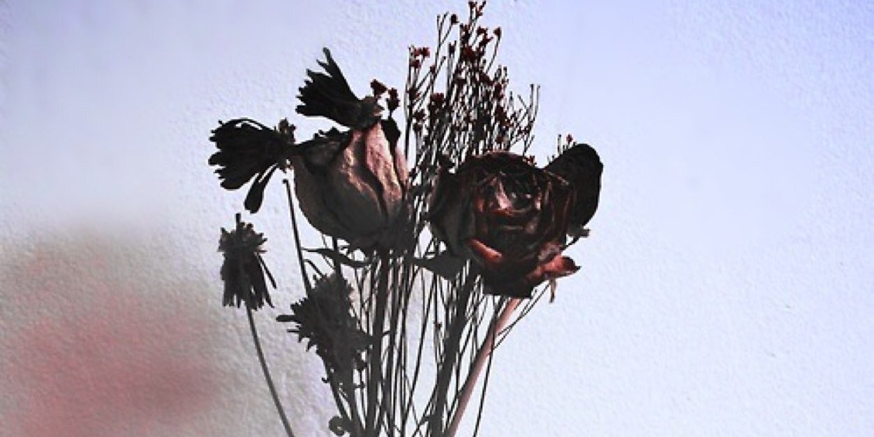 brit_janda's profile banner image