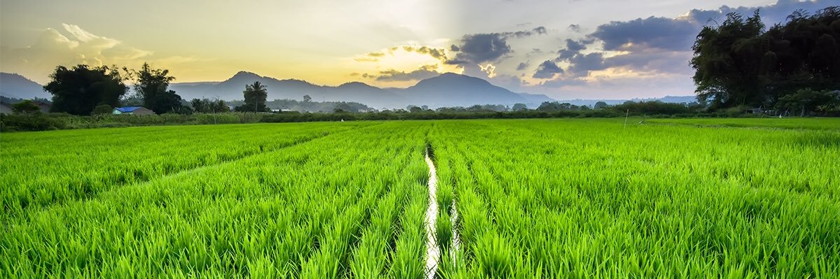 sam_luing's profile banner image
