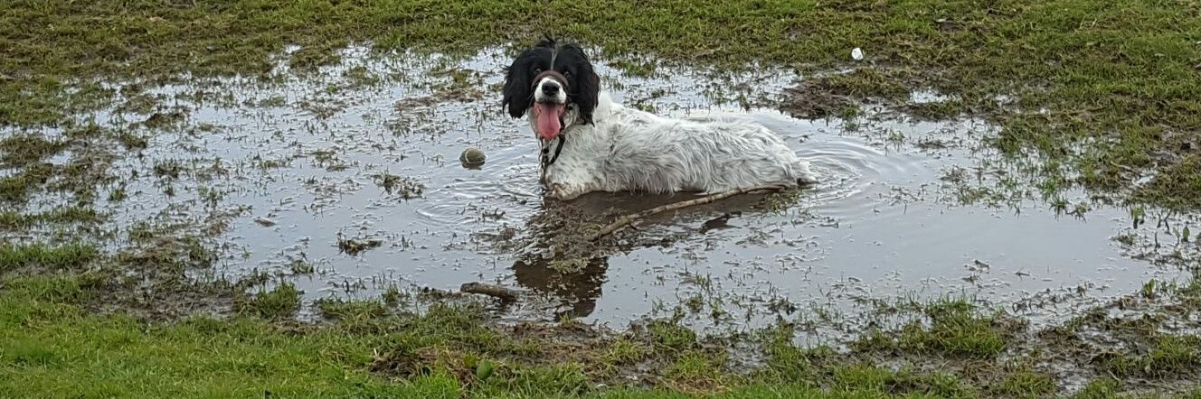 DENTON FOOT CARE banner