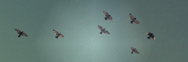 shawne Profile Banner