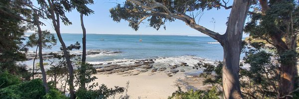 BryamOP Profile Banner