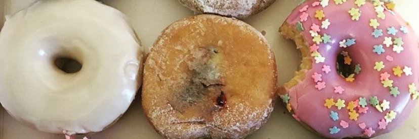 Stephanie Wang banner