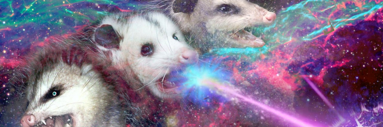 CCP Possum banner
