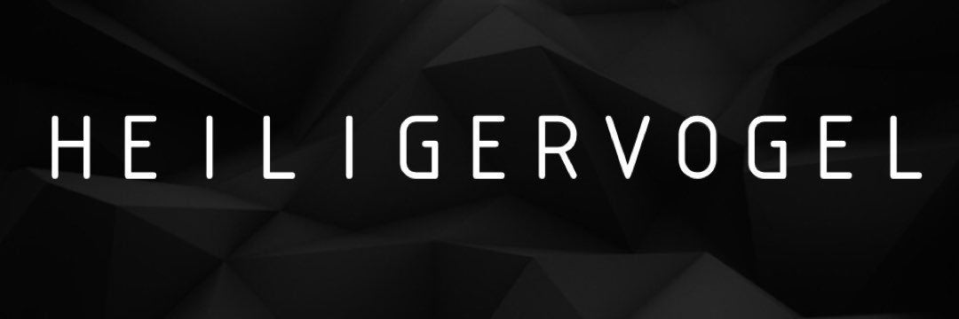 heiligervogel's profile banner image