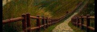 Lruiz71's profile banner image