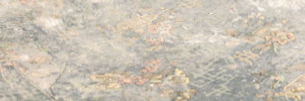 dror_yaron Profile Banner