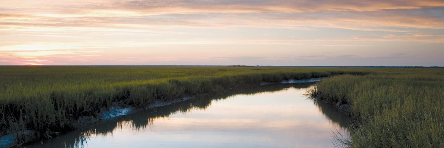 Coastal Community Foundation banner