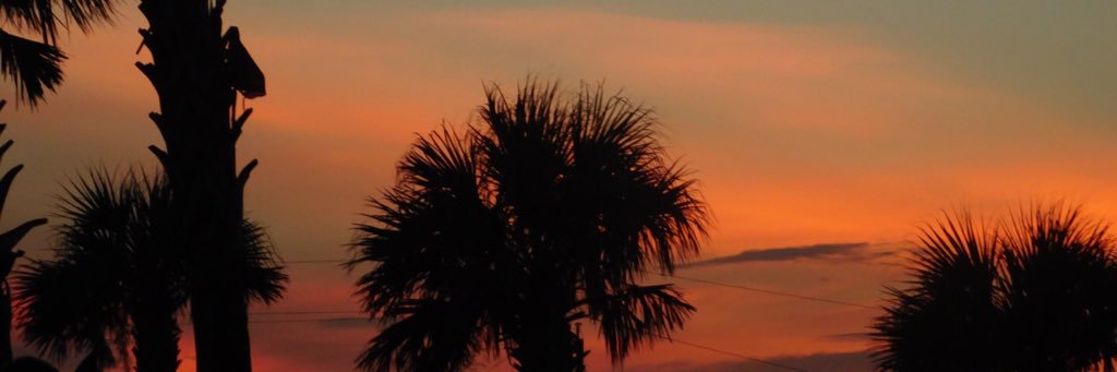 ahendersonn's profile banner image