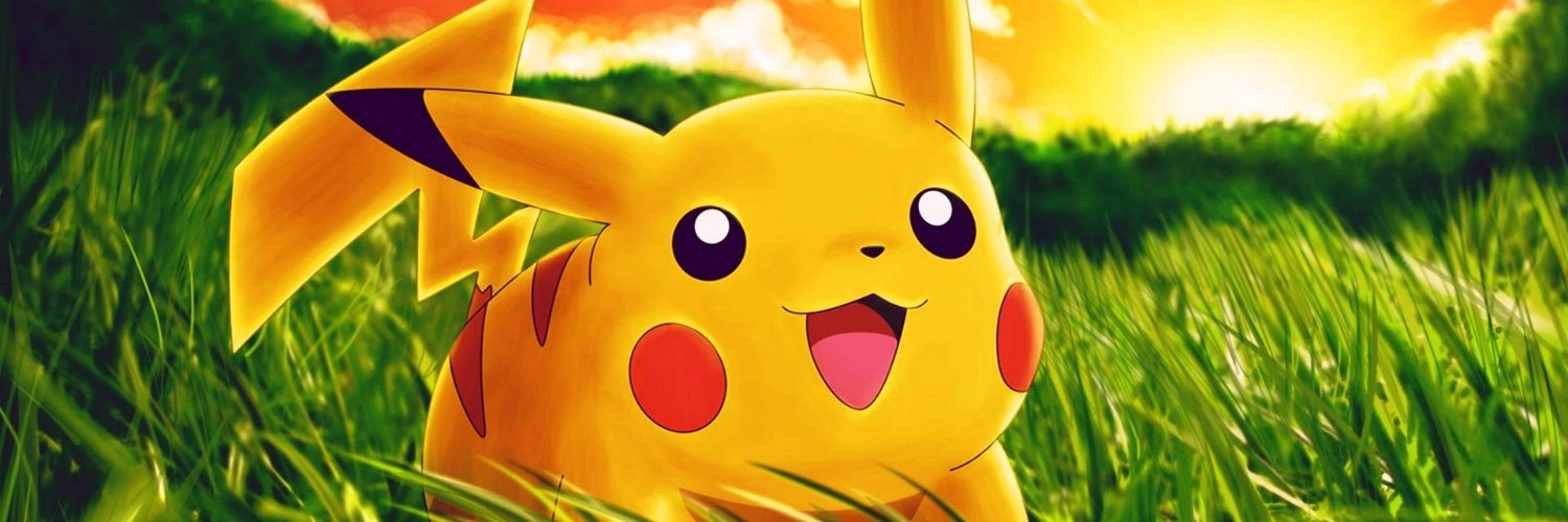 Nikkix banner