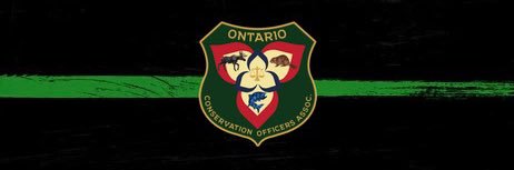 Sean Cronsberry banner