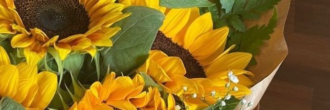aydaheza97's profile banner image