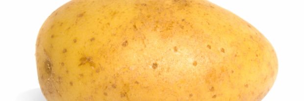bobertstuartlee's profile banner image