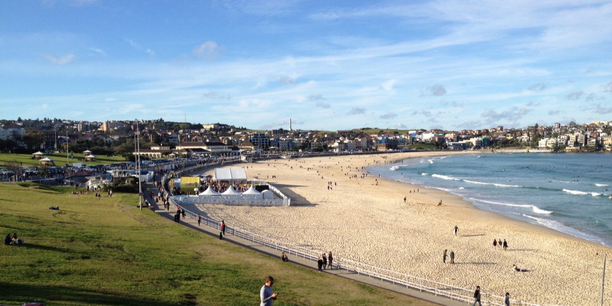 Amanda Mc Cloat banner