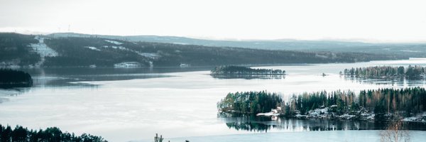 calle Profile Banner