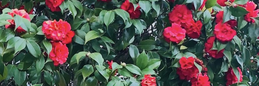 terpppy's profile banner image