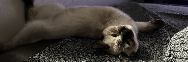 _kilo777 Profile Banner