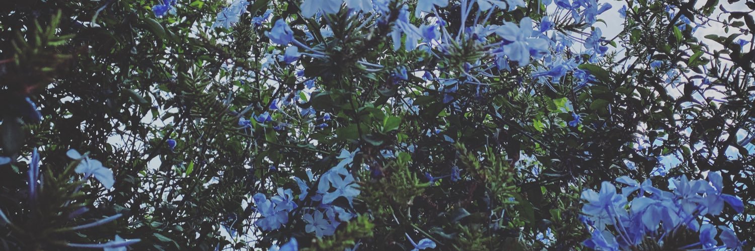 Itzel_8908's profile banner image