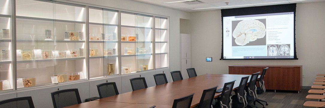 University at Buffalo Neuroscience Program banner