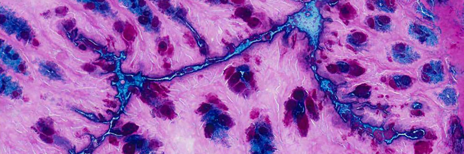 UNC Microbiome Core's banner