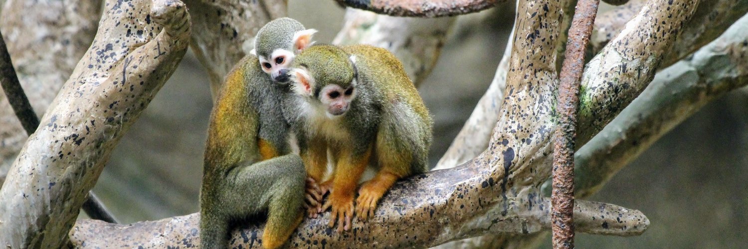 Midwest Primate Interest Group banner