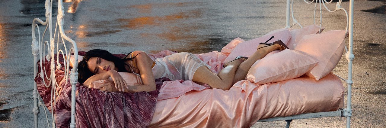 Demi Lovato Team banner