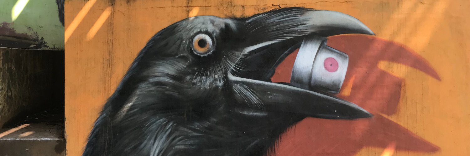 Alisa Alering banner