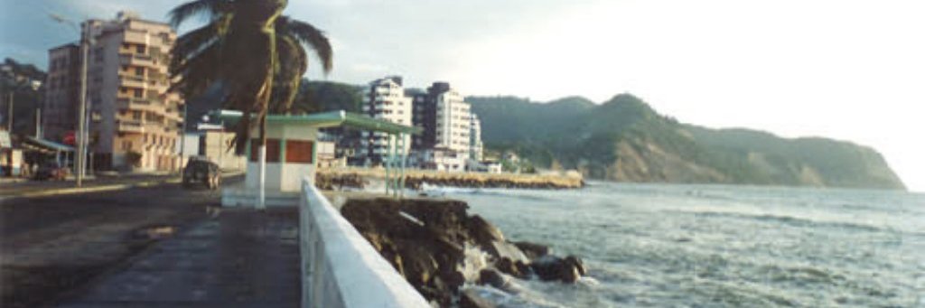 robinavellanbsc's profile banner image