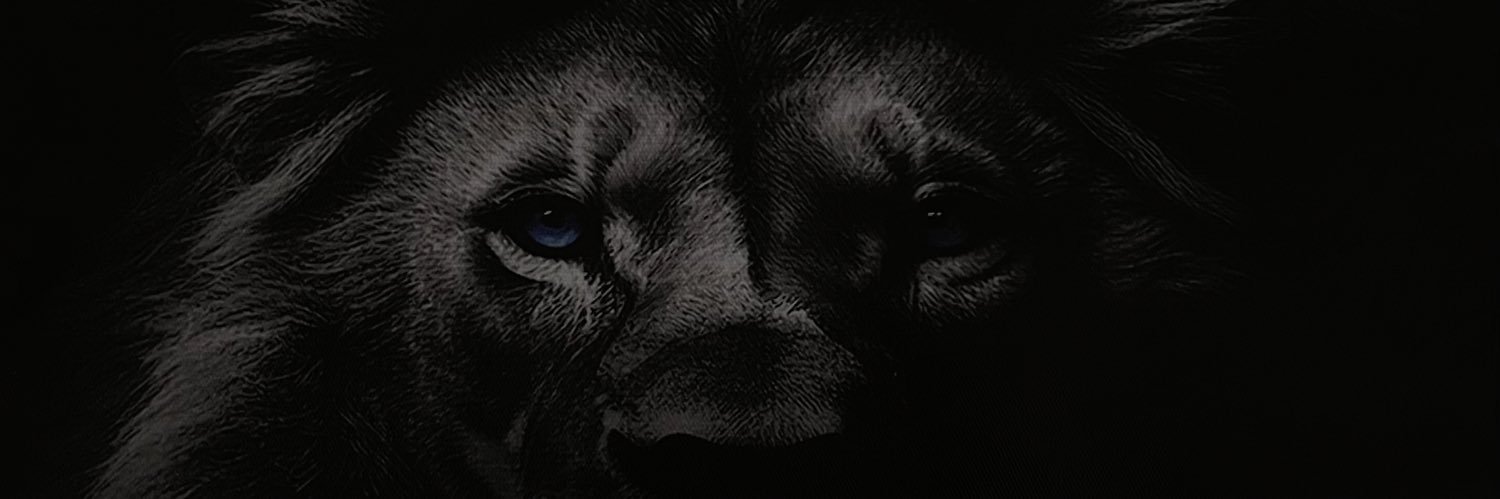 Thomas_Floeter's profile banner image