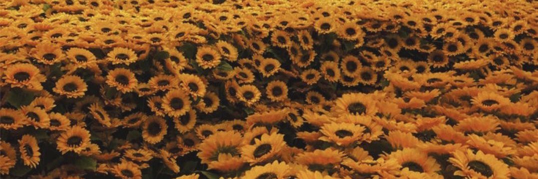 Kimab_g's profile banner image