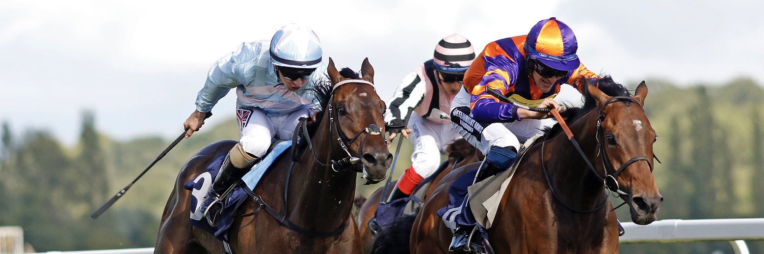 Ben ffrench Davis banner