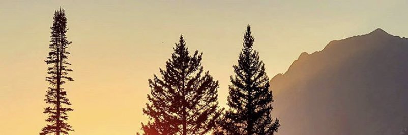 ztjacoby's profile banner image