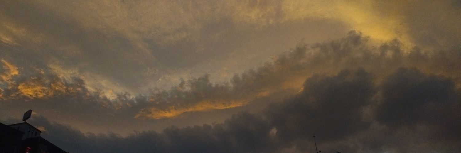 ElizabethRaam's profile banner image