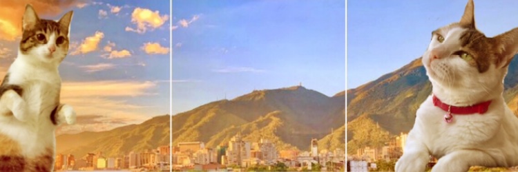 titina's banner