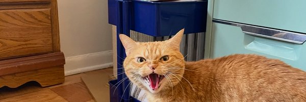 Bannef_ Profile Banner