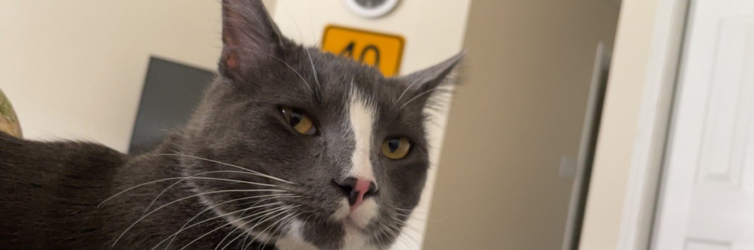 jcesco23's profile banner image
