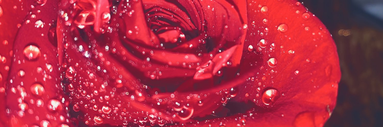 Cosmicgoddess8's profile banner image