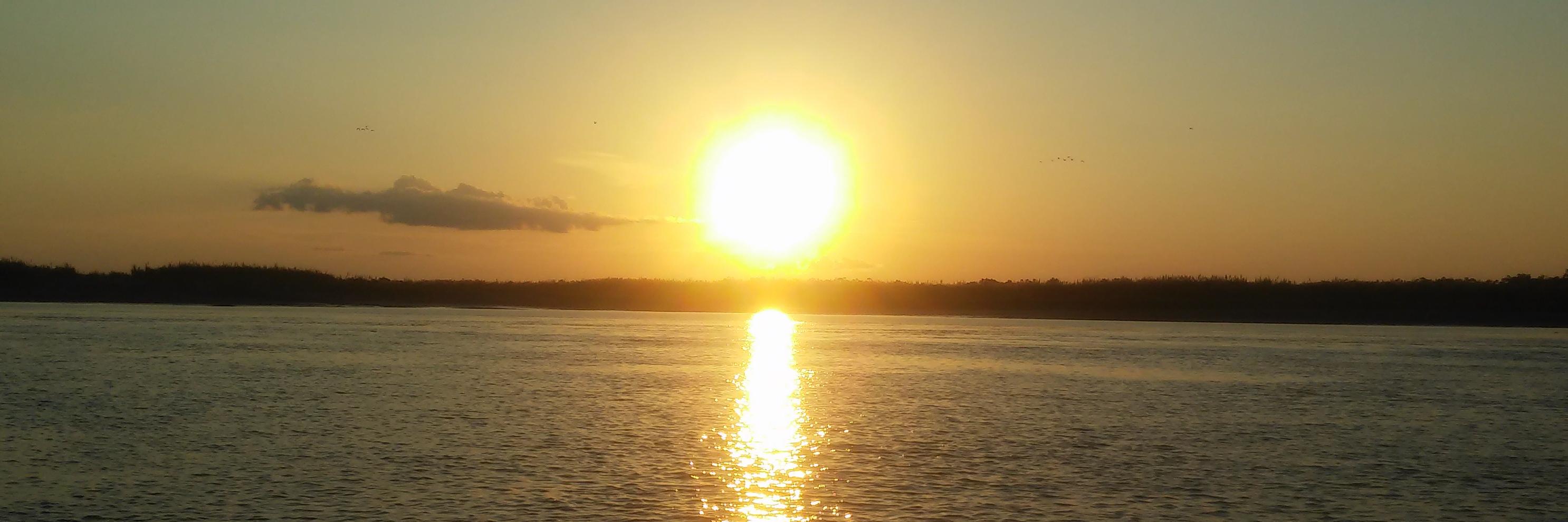 erixssondav's profile banner image