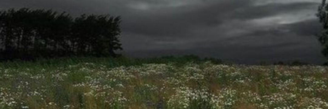 E_lovees's profile banner image