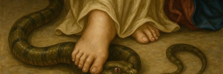nbelup's profile banner image