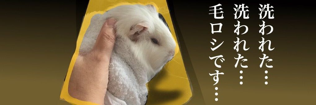 xcbbx's profile banner image