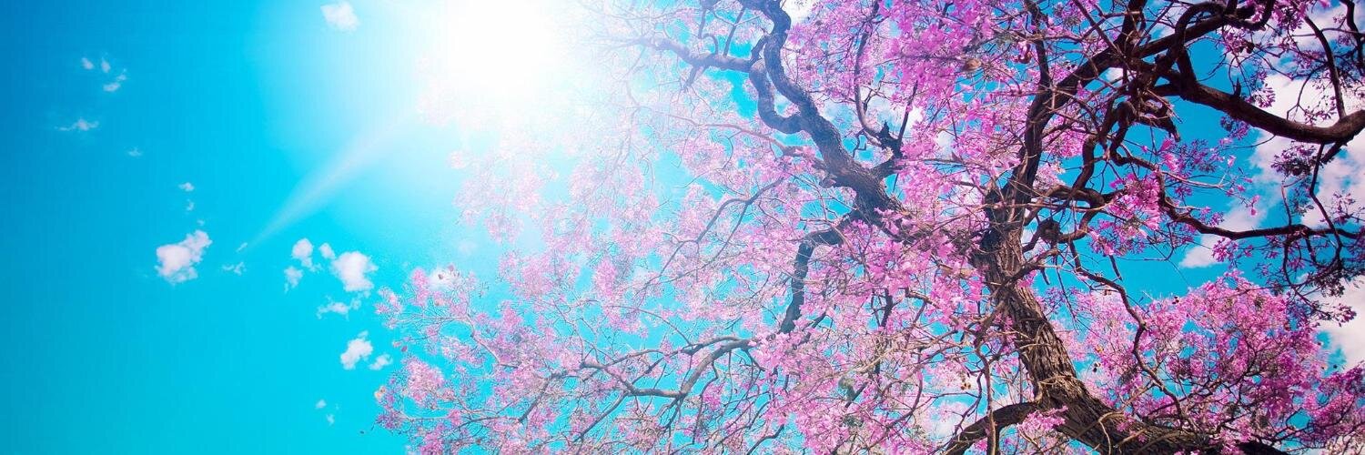 Nailsxo's profile banner image