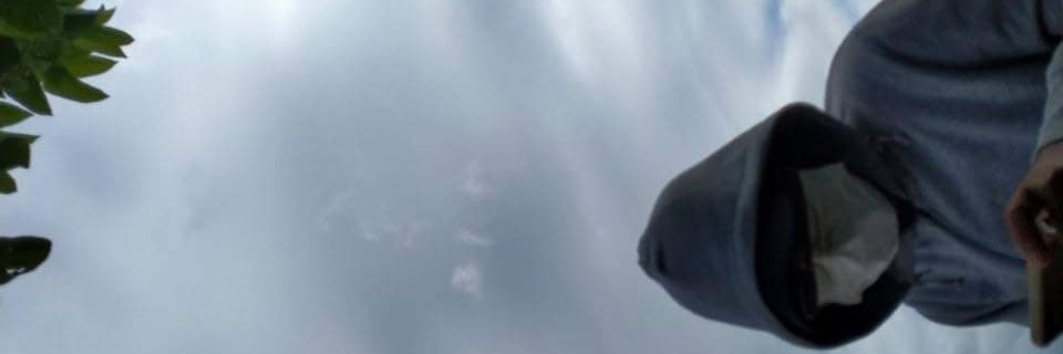 _bhaer's profile banner image