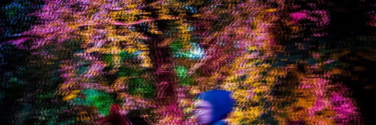 Dan_Photojourno's profile banner image