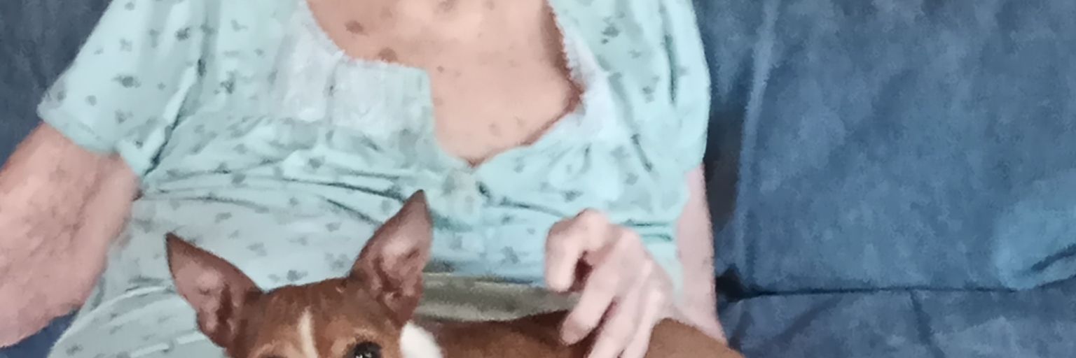 wandaessler3's profile banner image