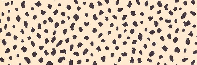 xocaseee's profile banner image