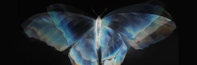 Dreamytanne's profile banner image