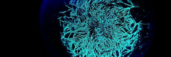 GaneshDFB Profile Banner