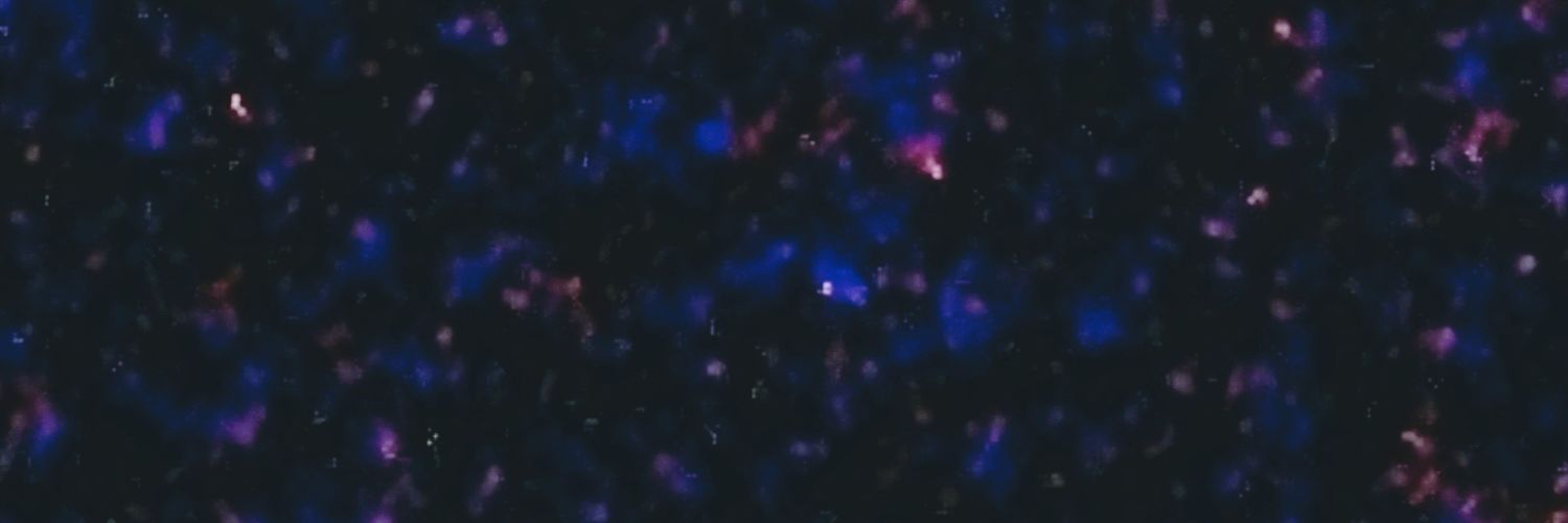 LepoldoH's profile banner image