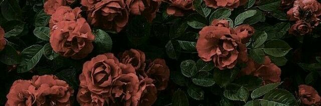 ffมข. banner