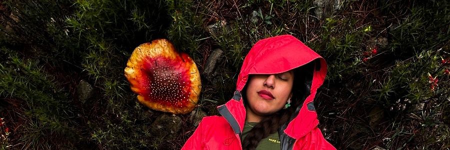 Yeniffer Analy banner